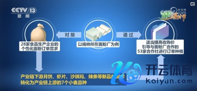 感知“三夏”变化 小麦产业新活力