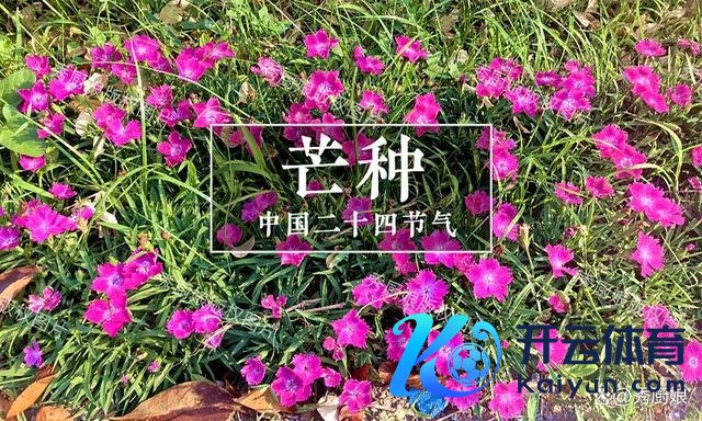 芒种疏盛大众多吃4样，富厚体魄好度夏