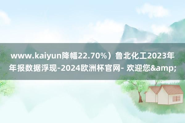 www.kaiyun降幅22.70%）鲁北化工2023年年报数据浮现-2024欧洲杯官网- 欢迎您&