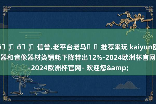 🦄🦄信誉.老平台老马✔️推荐来玩 kaiyun欧洲杯app家用电器和音像器材类销耗下降特出12%-2024欧洲杯官网- 欢迎您&