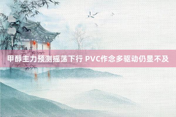 甲醇主力预测摇荡下行 PVC作念多驱动仍显不及