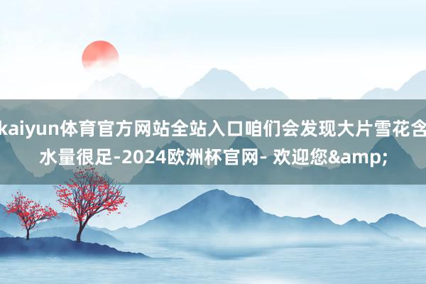 kaiyun体育官方网站全站入口咱们会发现大片雪花含水量很足-2024欧洲杯官网- 欢迎您&